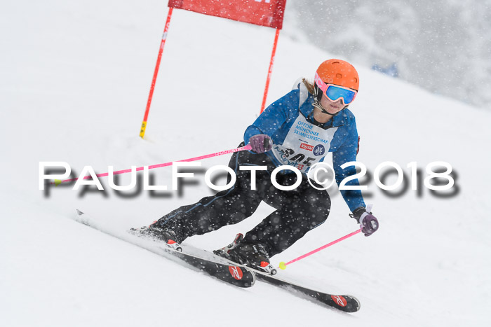 Münchner Skimeisterschaft 2018