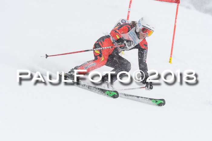 Münchner Skimeisterschaft 2018