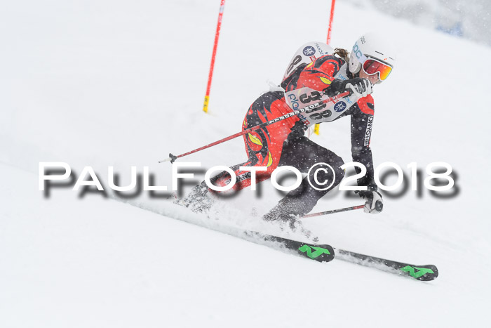 Münchner Skimeisterschaft 2018