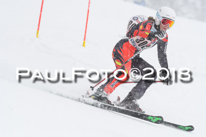 Münchner Skimeisterschaft 2018
