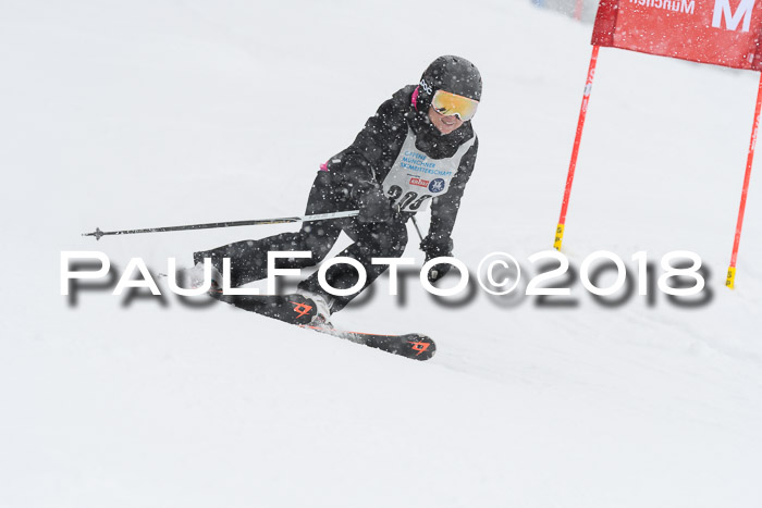 Münchner Skimeisterschaft 2018