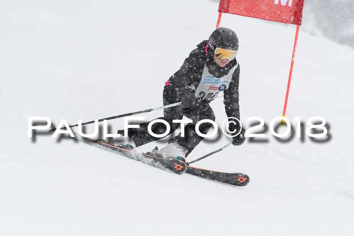 Münchner Skimeisterschaft 2018