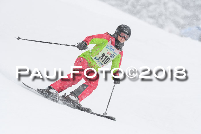 Münchner Skimeisterschaft 2018