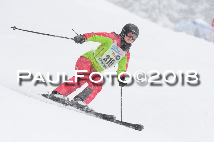 Münchner Skimeisterschaft 2018