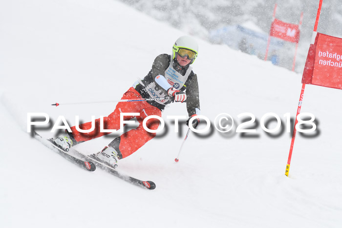 Münchner Skimeisterschaft 2018