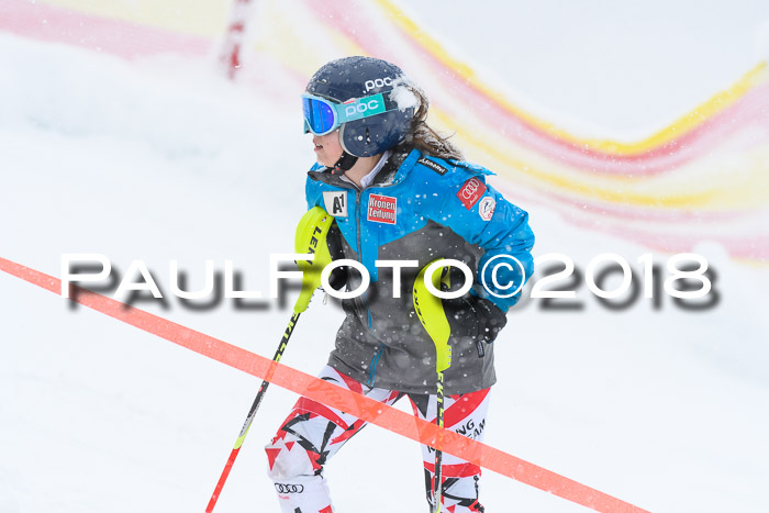 Münchner Skimeisterschaft 2018