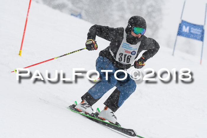 Münchner Skimeisterschaft 2018