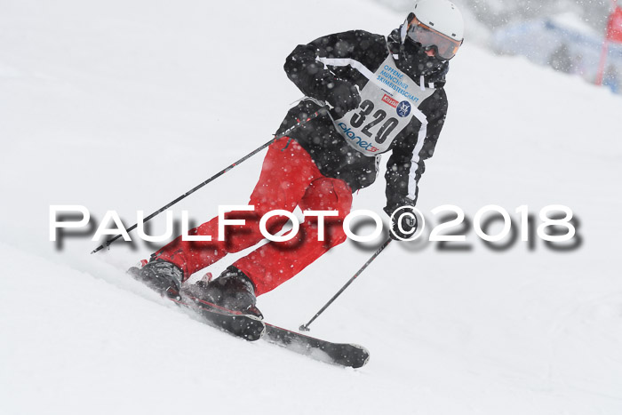 Münchner Skimeisterschaft 2018
