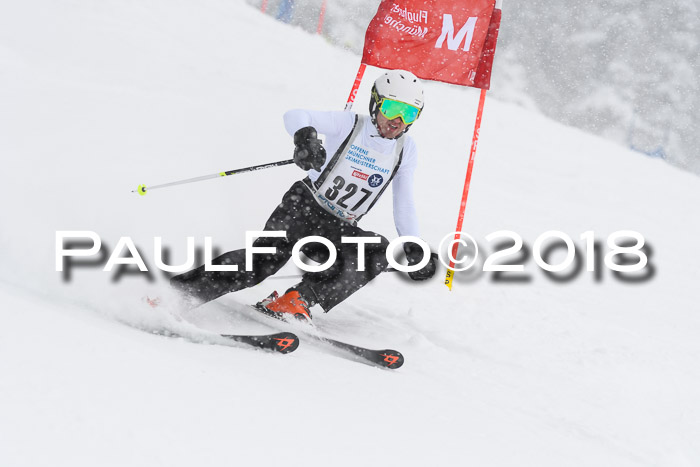 Münchner Skimeisterschaft 2018