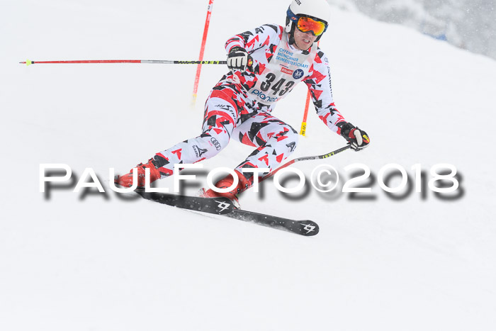 Münchner Skimeisterschaft 2018