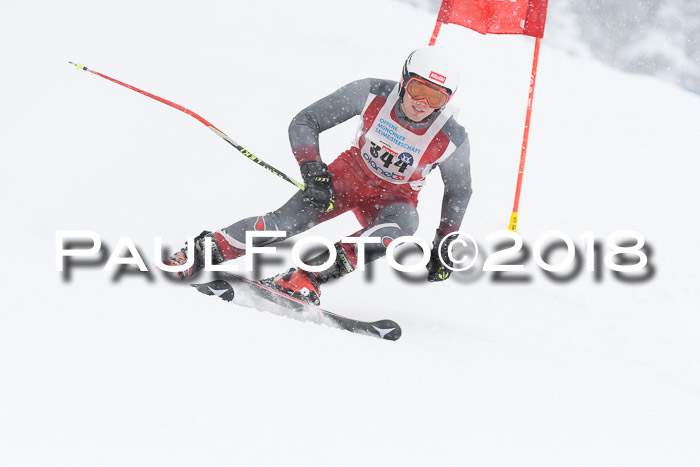 Münchner Skimeisterschaft 2018