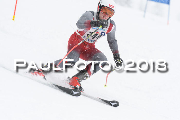 Münchner Skimeisterschaft 2018