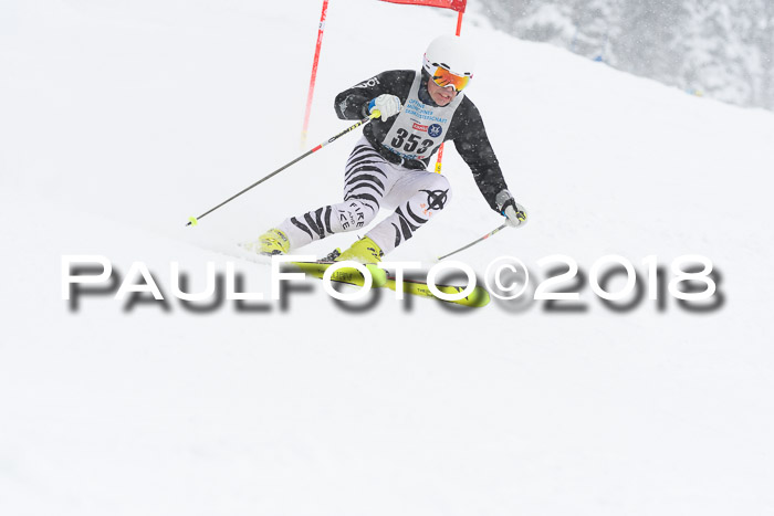 Münchner Skimeisterschaft 2018