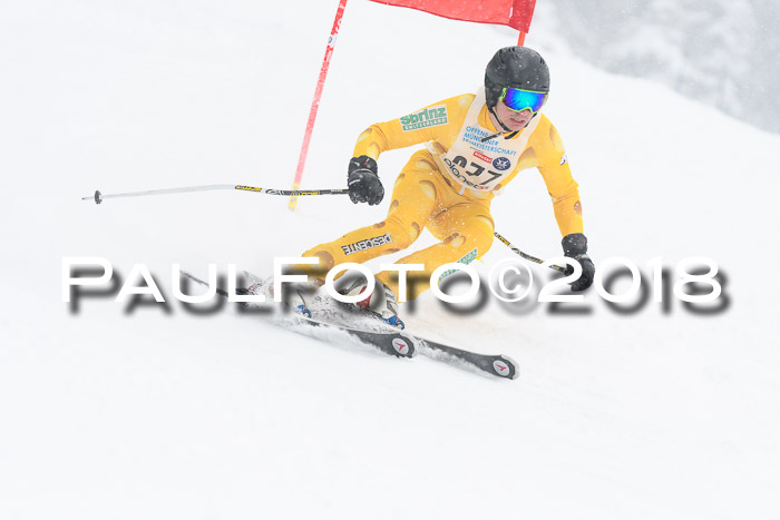 Münchner Skimeisterschaft 2018