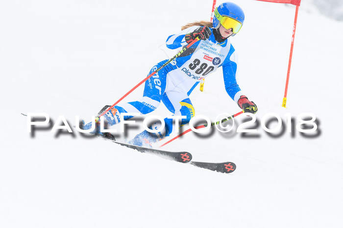 Münchner Skimeisterschaft 2018