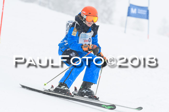 Münchner Skimeisterschaft 2018