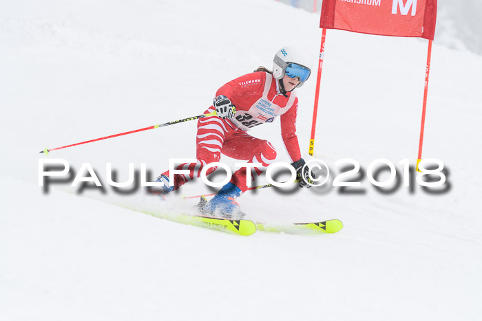 Münchner Skimeisterschaft 2018