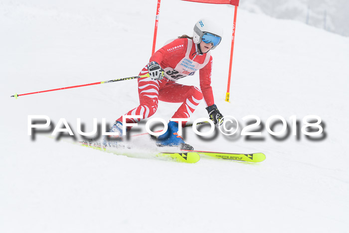 Münchner Skimeisterschaft 2018