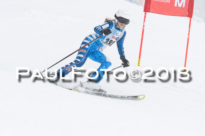 Münchner Skimeisterschaft 2018