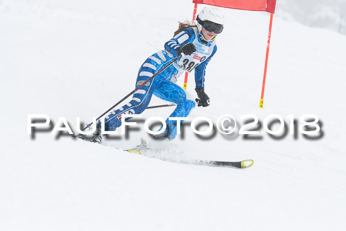 Münchner Skimeisterschaft 2018
