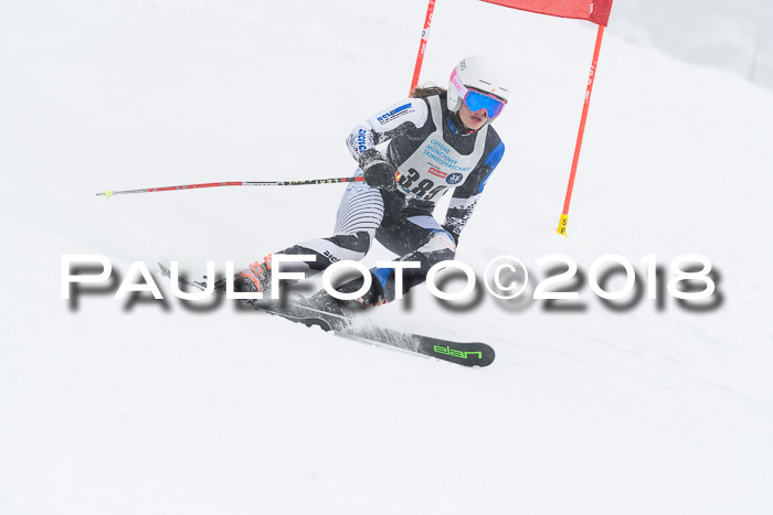 Münchner Skimeisterschaft 2018