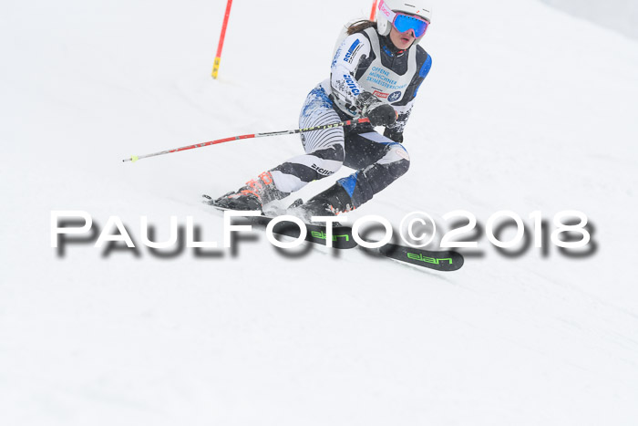 Münchner Skimeisterschaft 2018