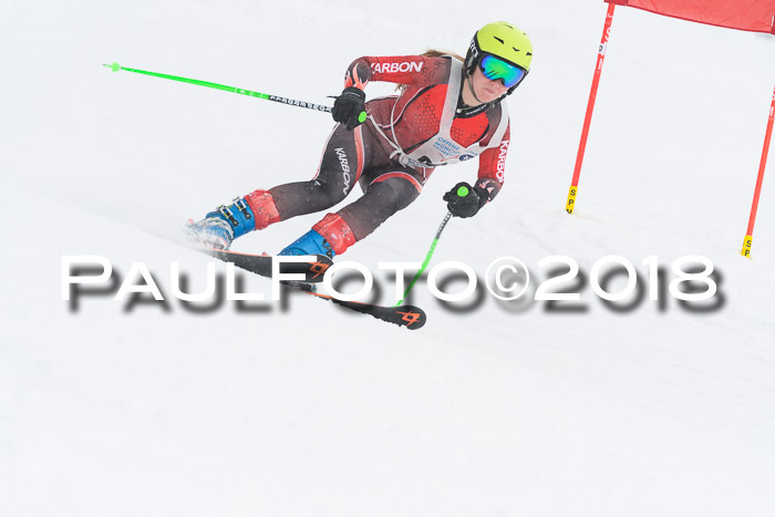 Münchner Skimeisterschaft 2018