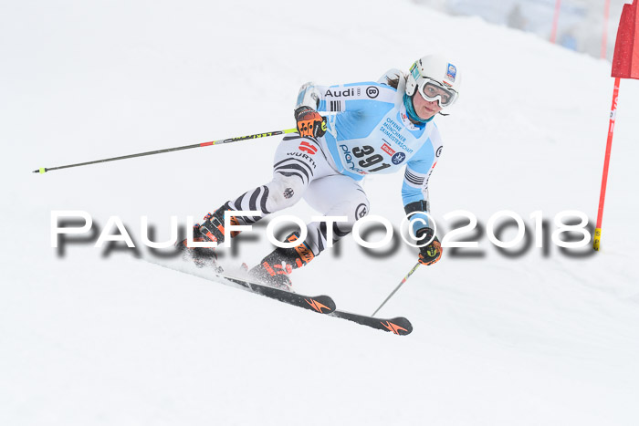 Münchner Skimeisterschaft 2018