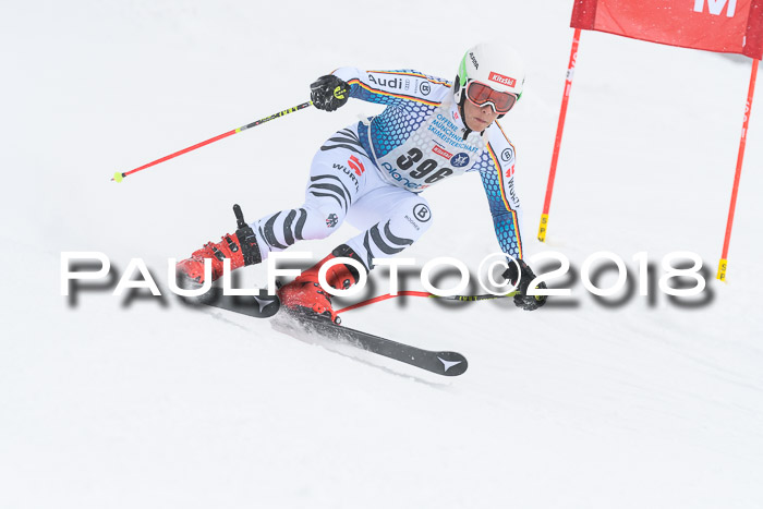 Münchner Skimeisterschaft 2018