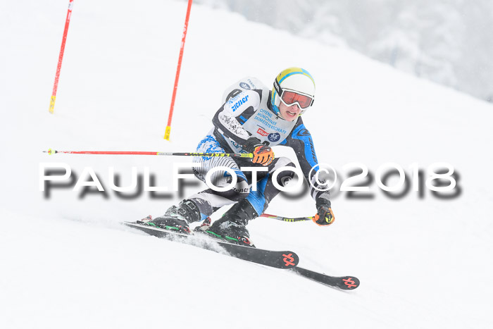 Münchner Skimeisterschaft 2018