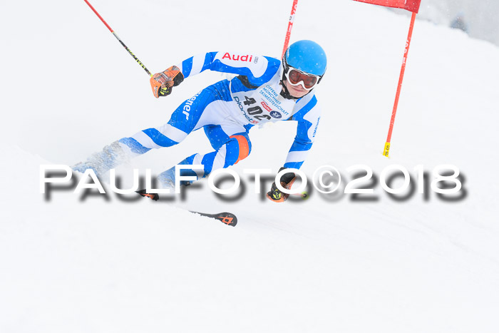 Münchner Skimeisterschaft 2018