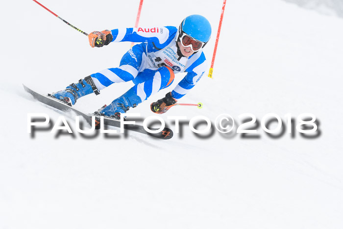 Münchner Skimeisterschaft 2018