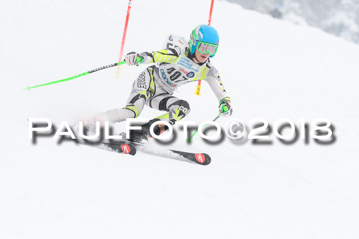Münchner Skimeisterschaft 2018