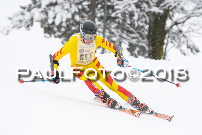 Münchner Skimeisterschaft 2018