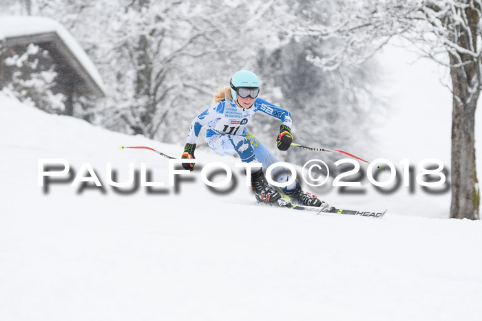 Münchner Skimeisterschaft 2018