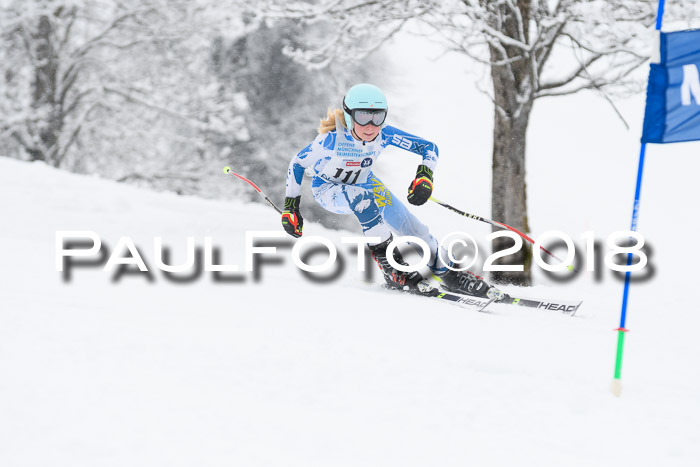 Münchner Skimeisterschaft 2018