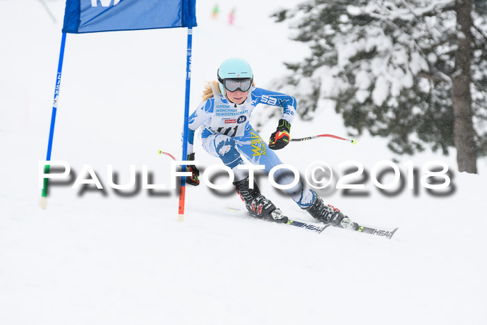 Münchner Skimeisterschaft 2018