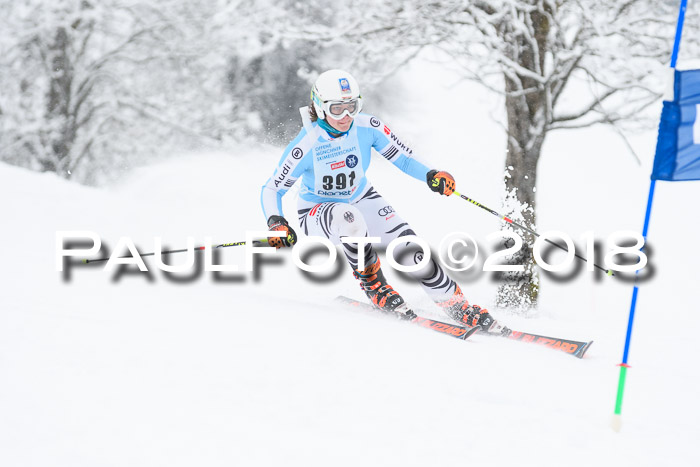 Münchner Skimeisterschaft 2018