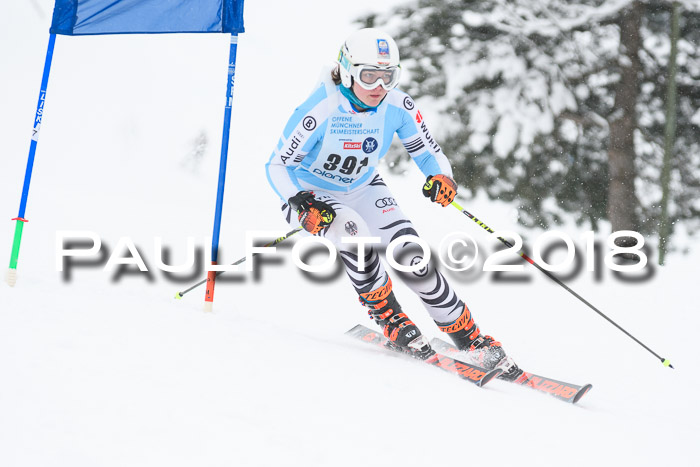 Münchner Skimeisterschaft 2018
