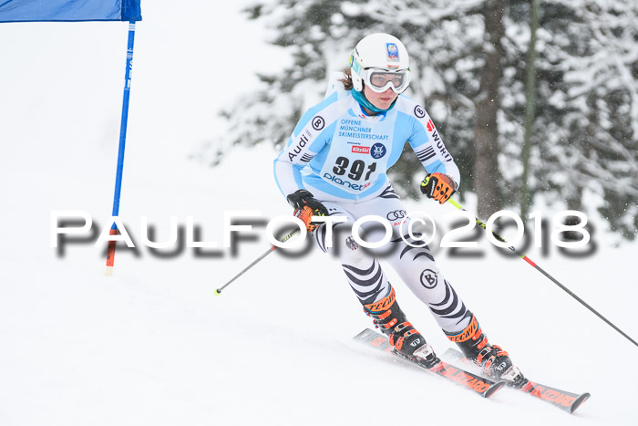 Münchner Skimeisterschaft 2018