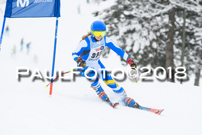 Münchner Skimeisterschaft 2018