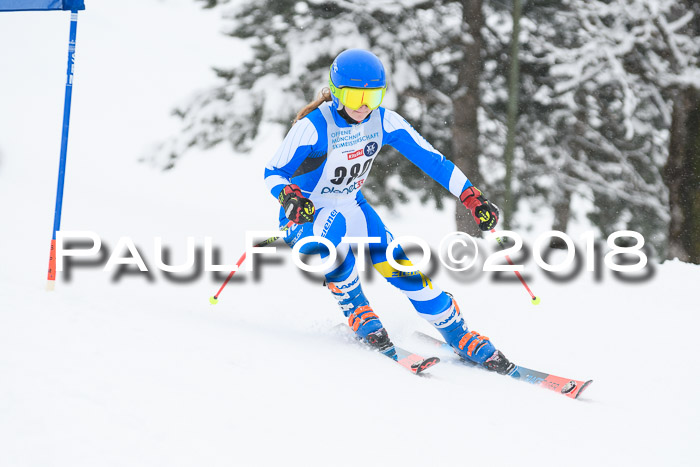 Münchner Skimeisterschaft 2018