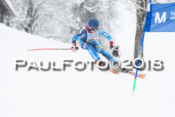 Münchner Skimeisterschaft 2018