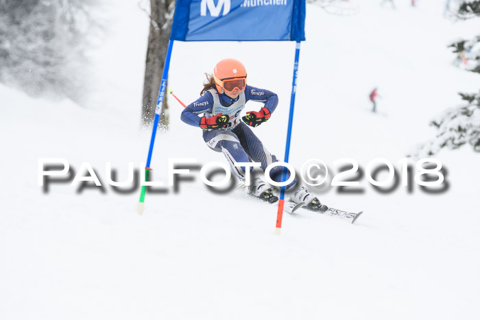 Münchner Skimeisterschaft 2018