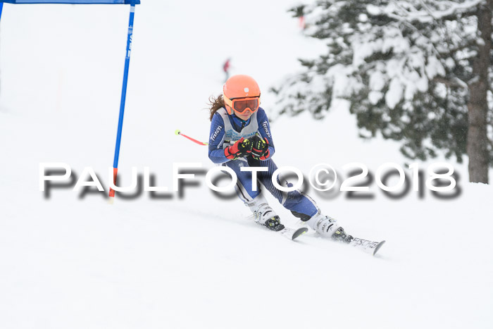 Münchner Skimeisterschaft 2018