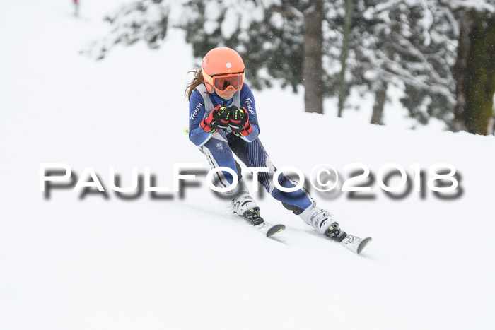 Münchner Skimeisterschaft 2018
