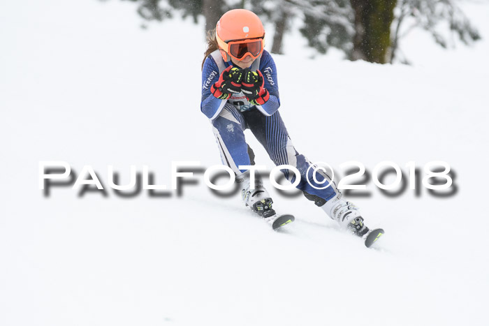 Münchner Skimeisterschaft 2018