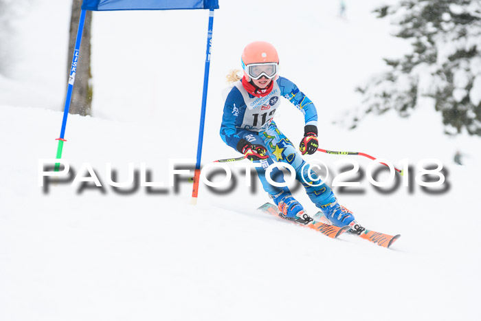 Münchner Skimeisterschaft 2018