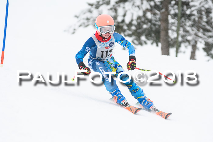Münchner Skimeisterschaft 2018