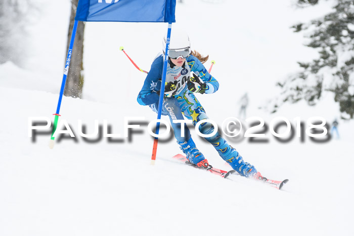 Münchner Skimeisterschaft 2018